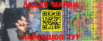 jwh Краснодар