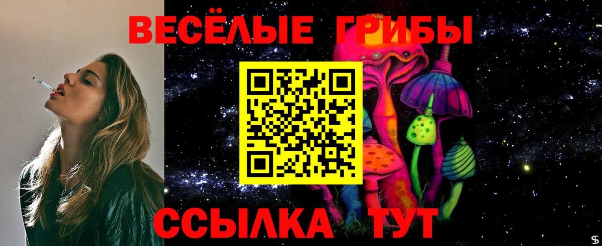 Галлюциногенные грибы GOLDEN TEACHER  Псилоцибиновые грибы GOLDEN TEACHER  хочу наркоту  Звенигород  Вход с VPN 
