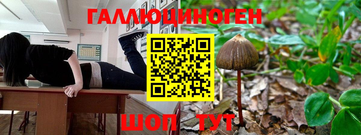 Псилоцибиновые грибы ЛСД Звенигород